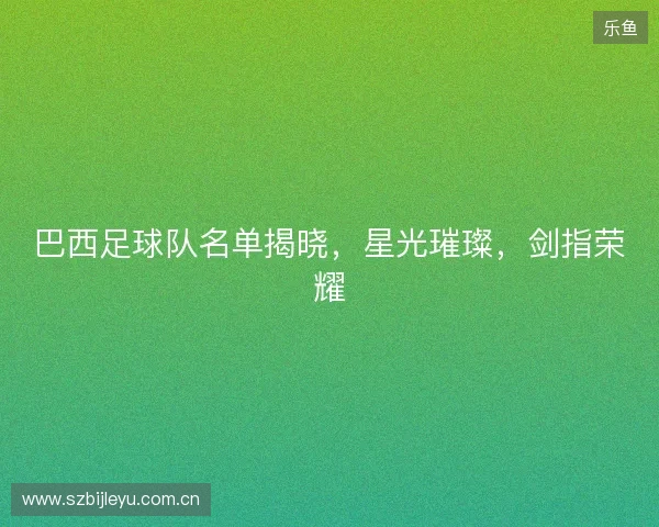 巴西足球队名单揭晓,星光璀璨,剑指荣耀 巴西足球队名单揭晓,星光璀璨,剑指荣耀