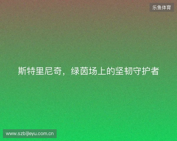 斯特里尼奇，绿茵场上的坚韧守护者